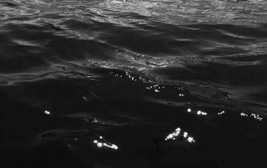 李慕婵/唯美图片--黑色湖