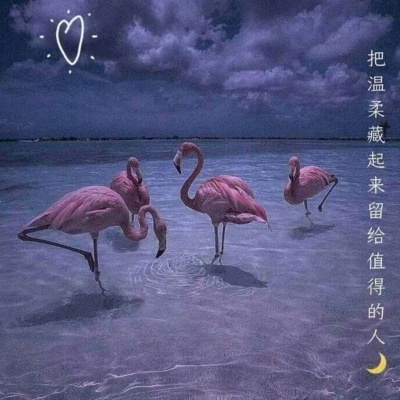 忻忻/云层深处有家博物馆