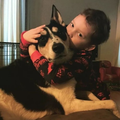 绿色系列
