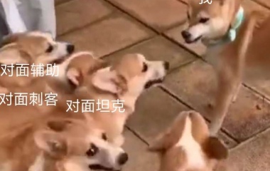 像极了你打王者的时候