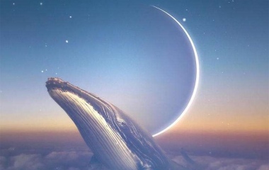 鲸和月