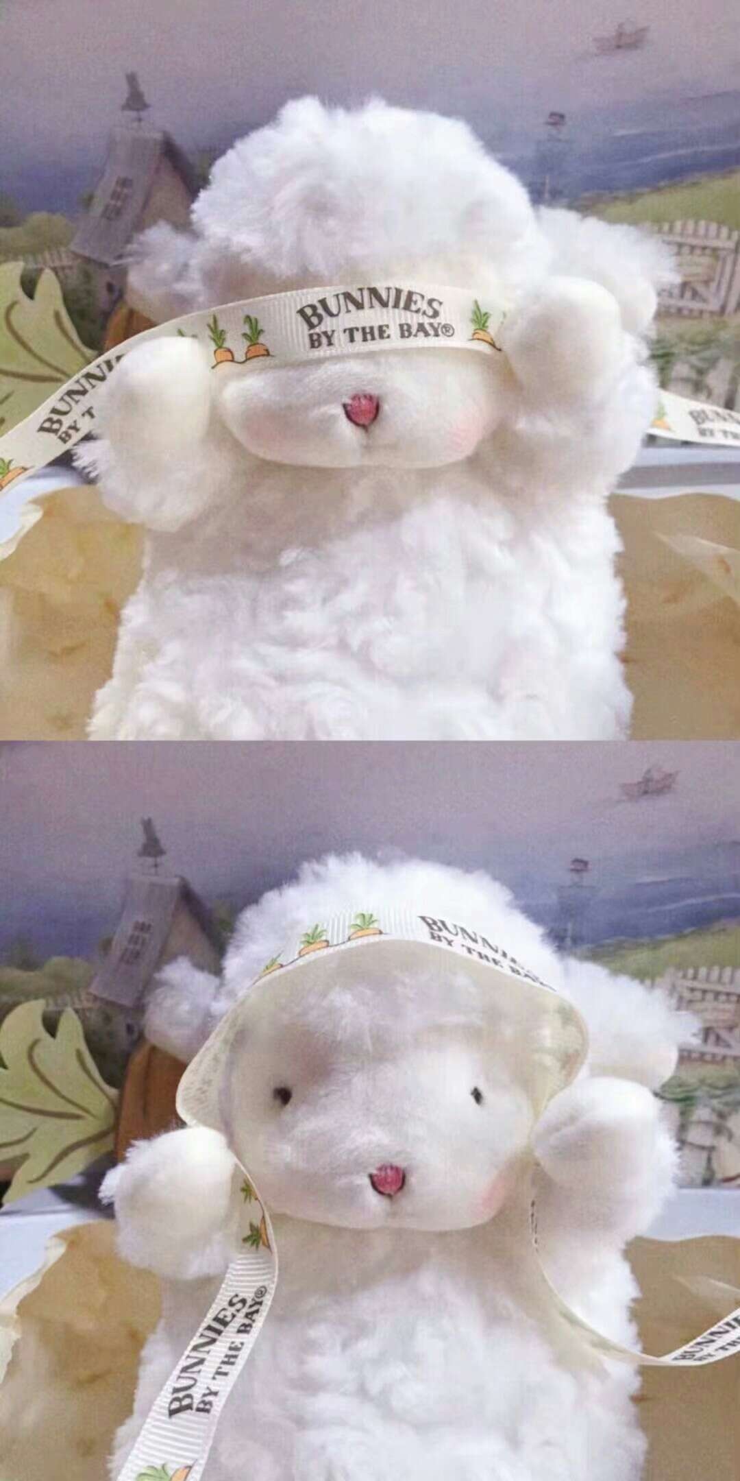 有没有可爱小羊的图片呀！！？ - 知乎