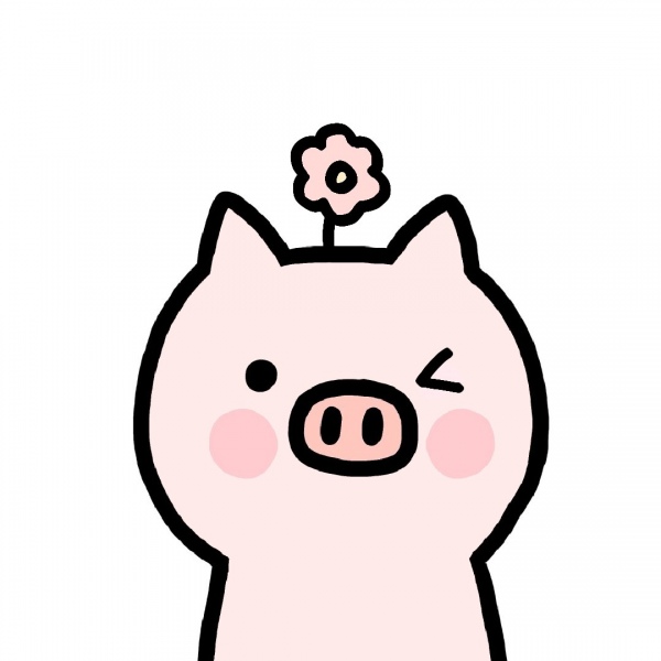 小猪头像可爱单人图片