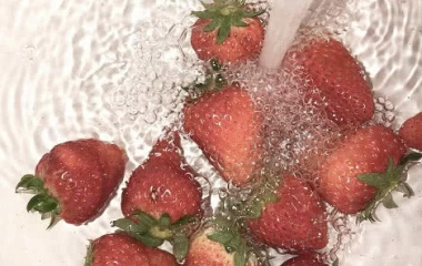 草莓草莓?