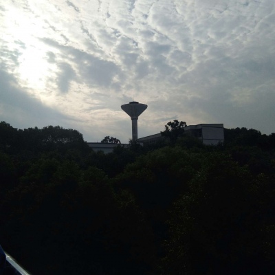 天。