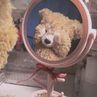 毛绒玩具日常照镜子