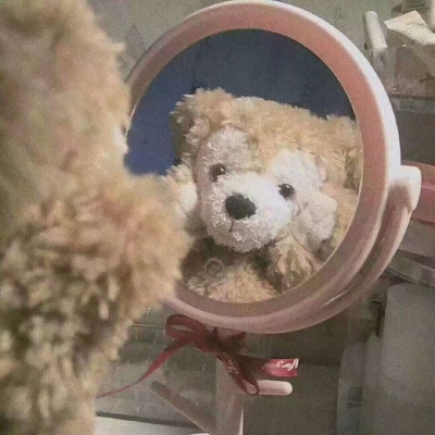 小熊照镜子图片大全图片