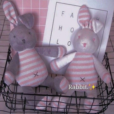 两只小兔叽