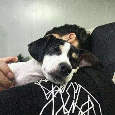 男生抱狗的头像图片图片