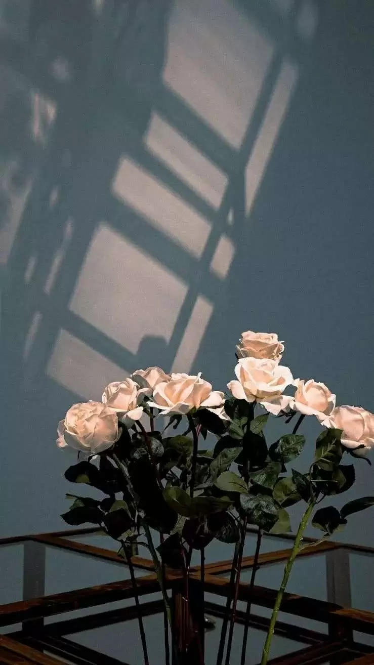 陈情 唯美玫瑰花束 风景静物手机壁纸 我要个性网
