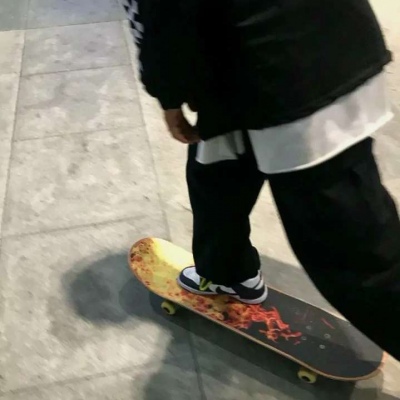 苍雏