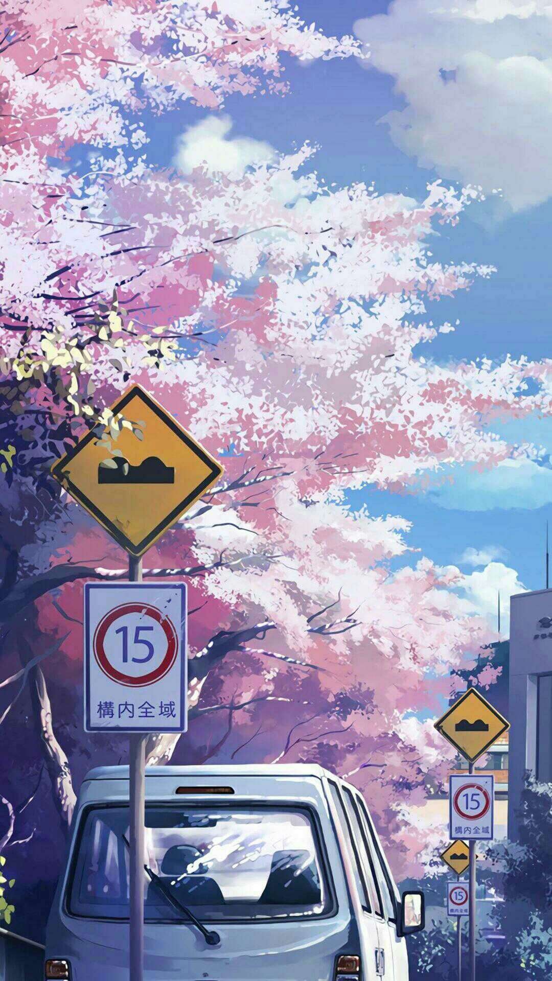 樱花树下行动漫图片