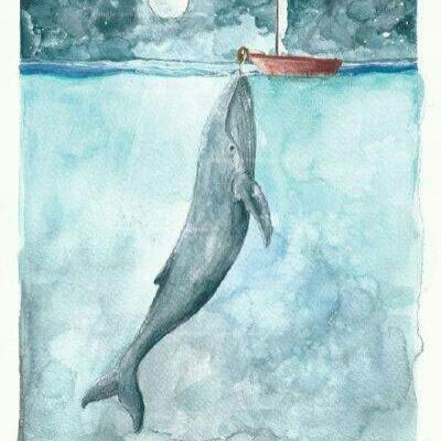 林弦唯美鲸鱼卡通手绘头像插画
