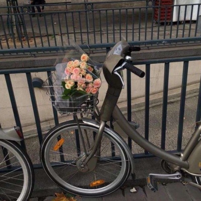 自行车鲜花
