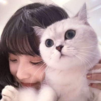 女生抱猫咪头像可爱图片
