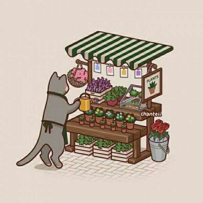 娃娃机之店铺小猫