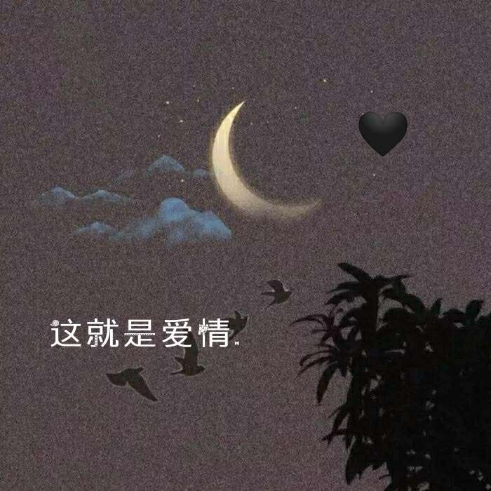 卑微的愛情