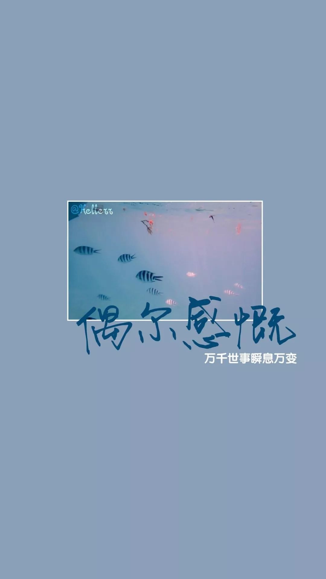 標籤:歐美流行文字控分享推薦壁紙更/壁紙