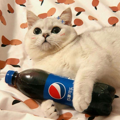 猫咪拿着可乐的图片图片