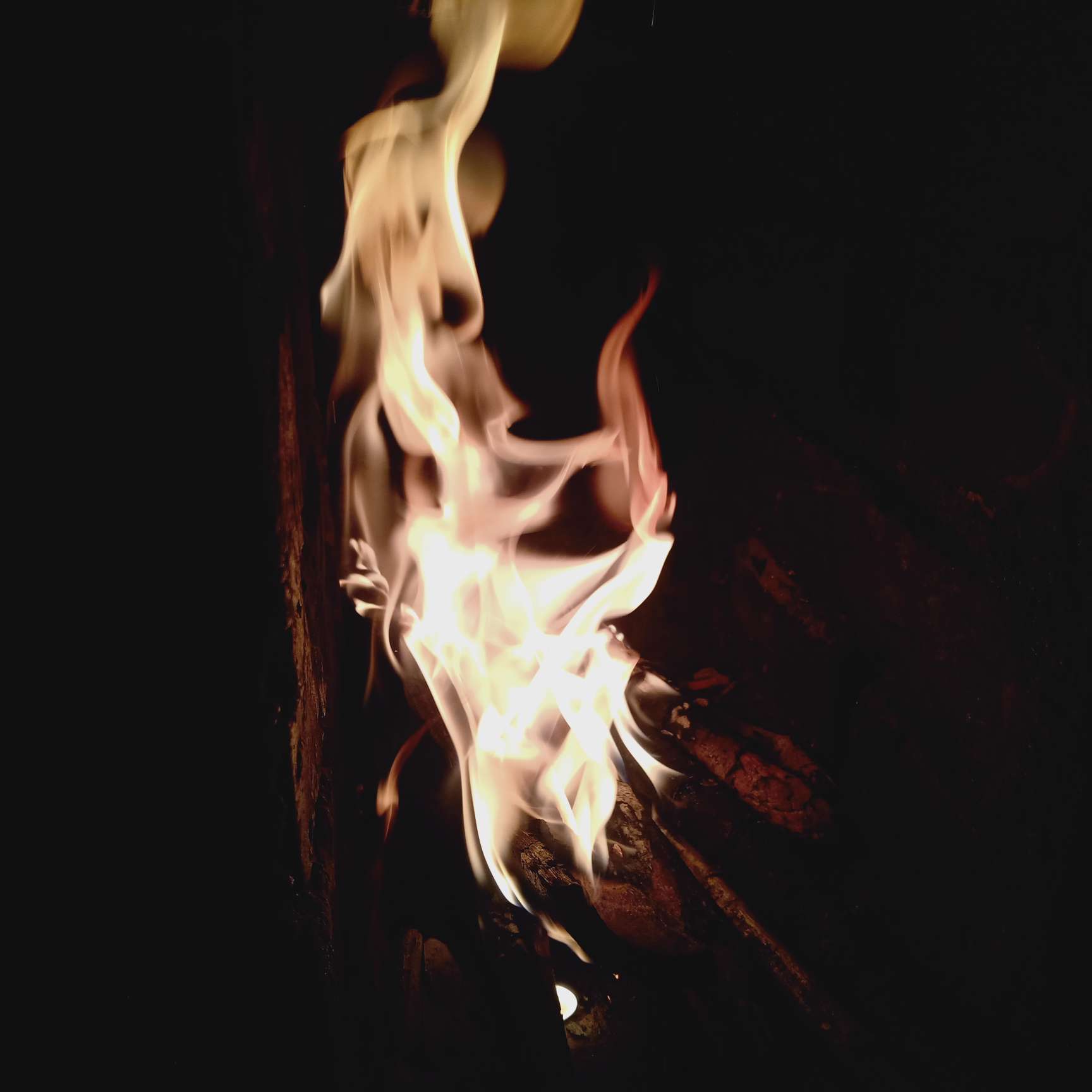 炽热的炭火-篝火柴火壁纸