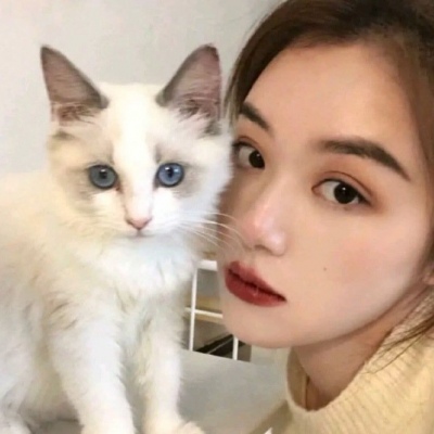 美少女与猫