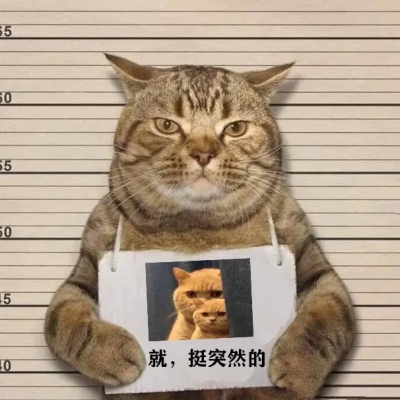 犯罪猫头像图片