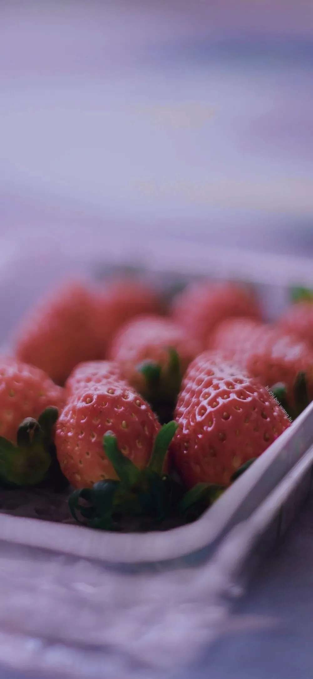 草莓神仙滤镜壁纸图片