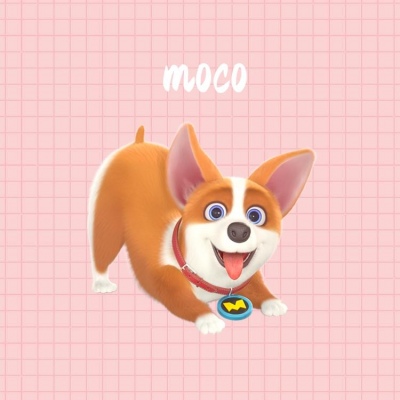 飞狗MOCO图片 头像图片