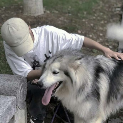 男生与狗狗的头像图片