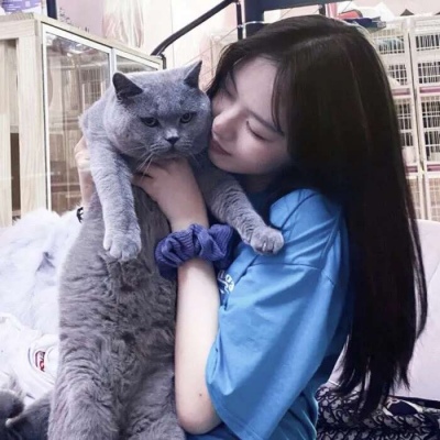 抱蓝猫的女生头像图片