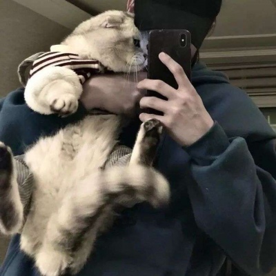 男生抱着猫的头像挡脸图片