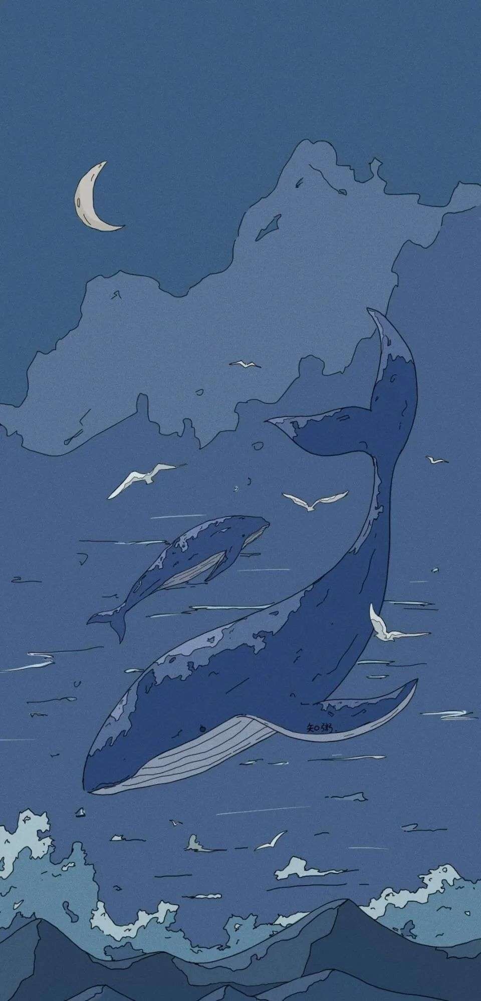 鲸落唯美图片插图图片