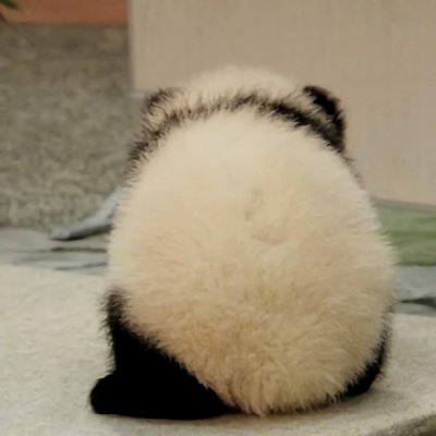 网红沙雕熊猫头像图片