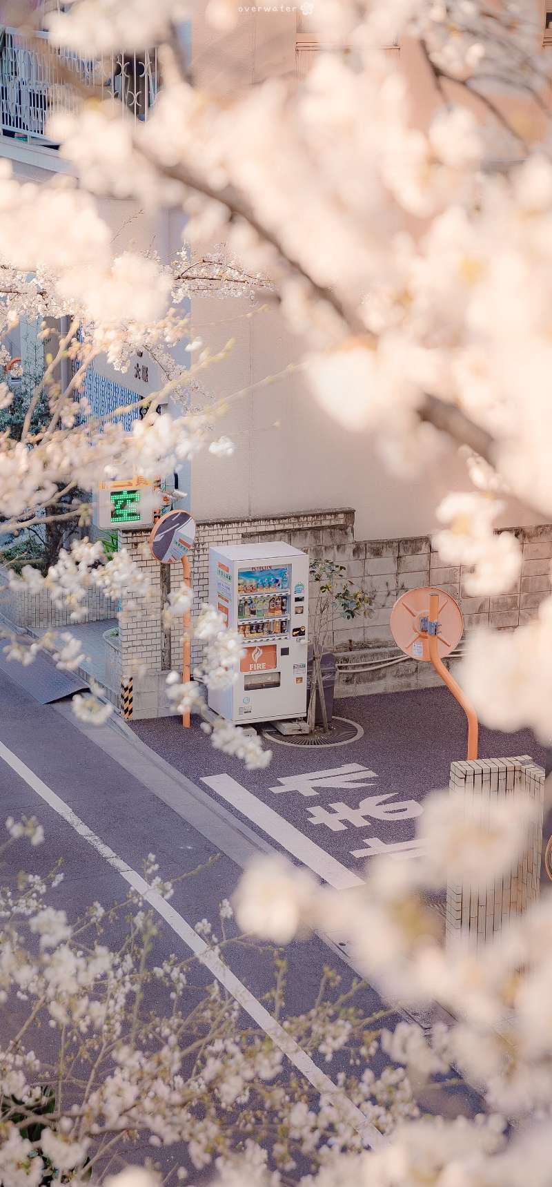 手机壁纸日系城市图片