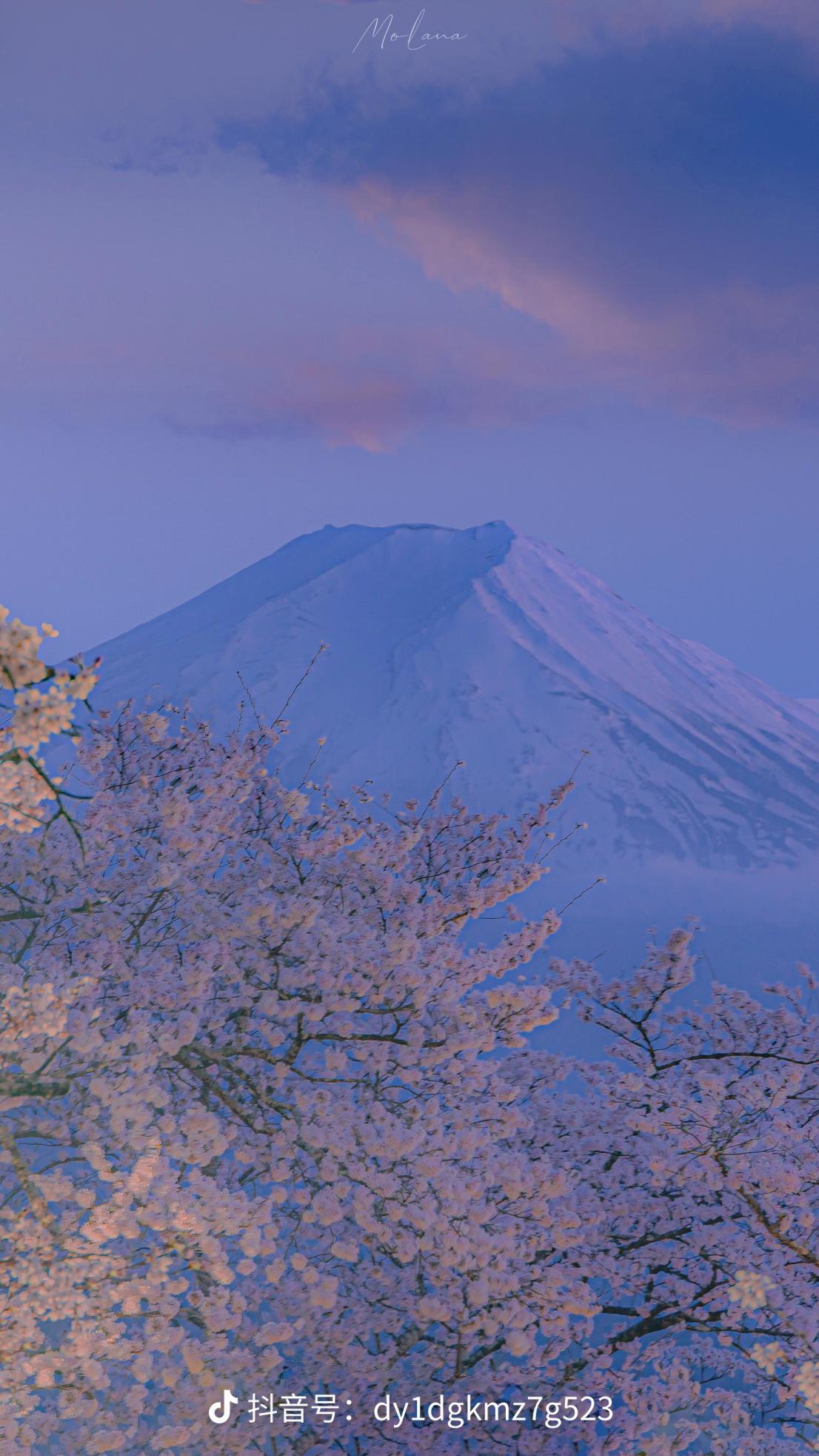 富士山下江苏卫视图片