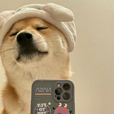 微信狗狗头像 搞笑图片