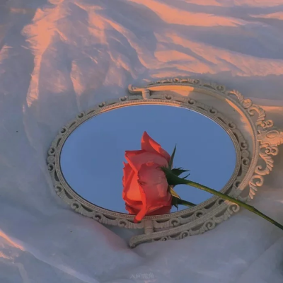 红玫瑰背景图./“那就等人表白，拿着红玫瑰，再恋爱.”