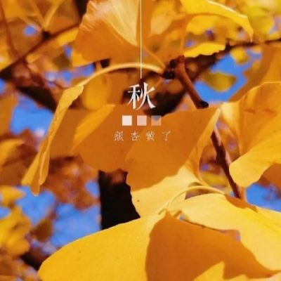 你喜欢银杏树吗？