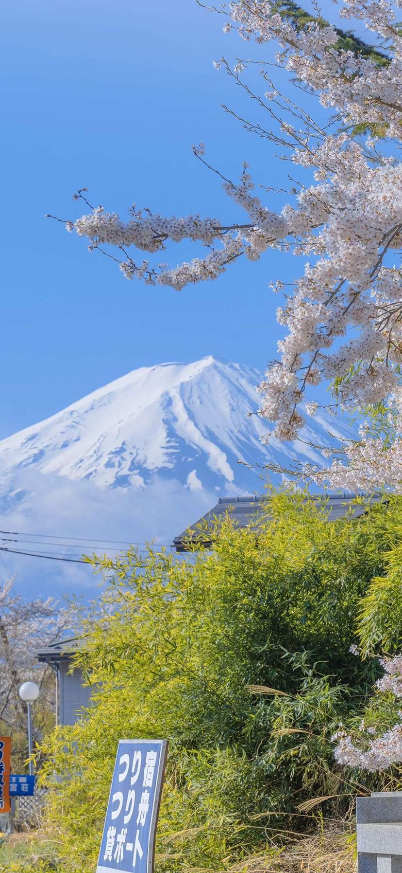 手机壁纸富士山高清图片