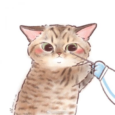 猫测核酸漫画图片