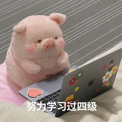 全世界最可爱的lulu猪.