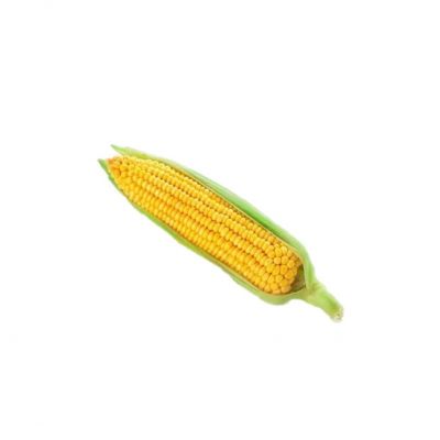 玉米粒头像图片