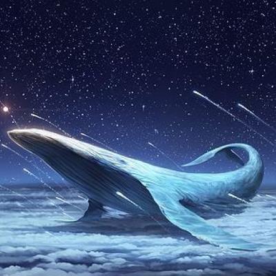 鲸落唯美头像 梦幻图片