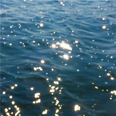 0708201913022.jpg