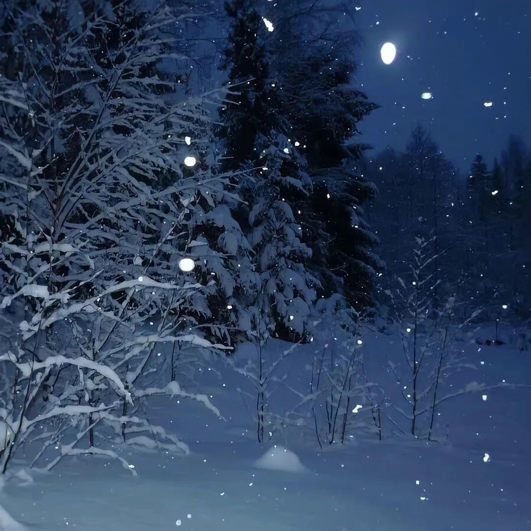 冬季下雪雪景高清图片下载-正版图片500777422-摄图网
