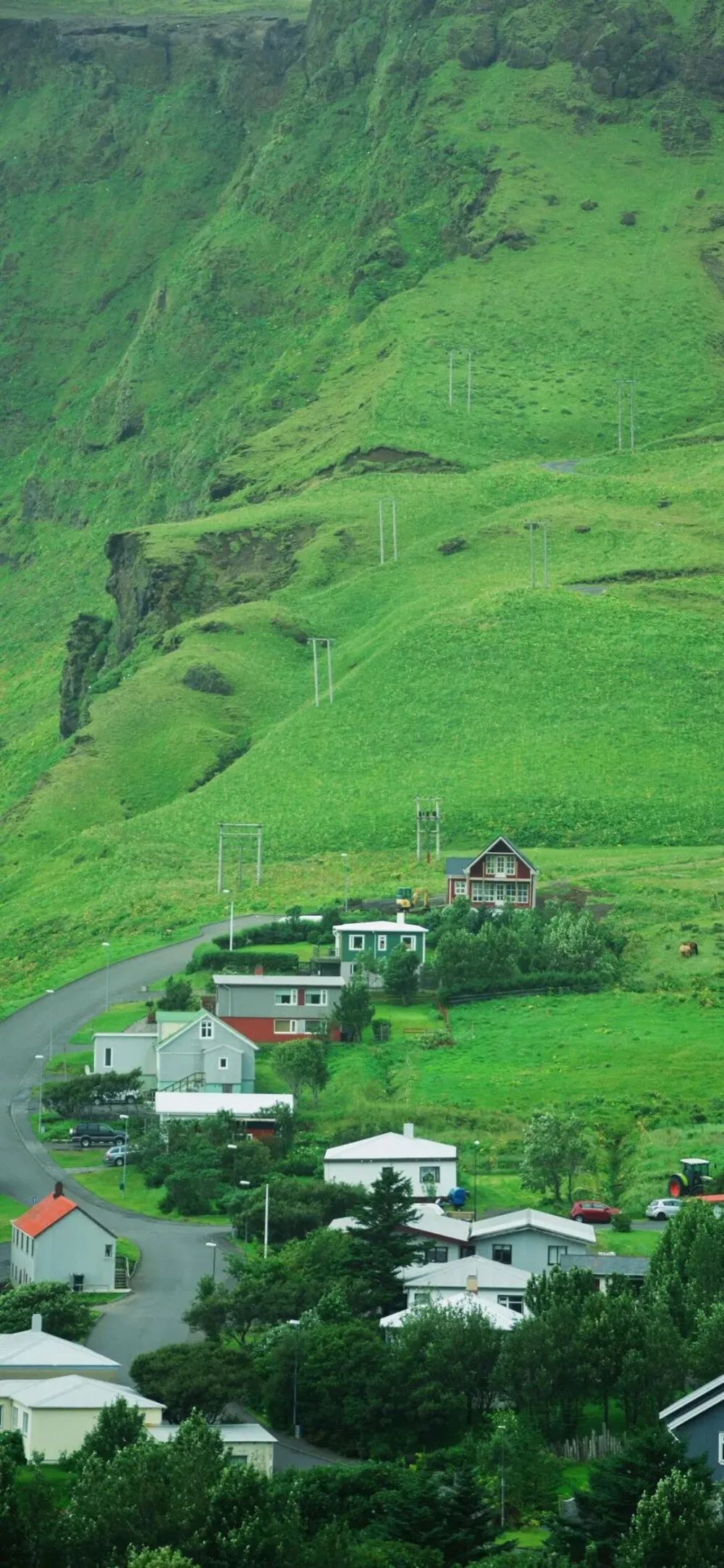 2023高清满山绿色风景壁纸