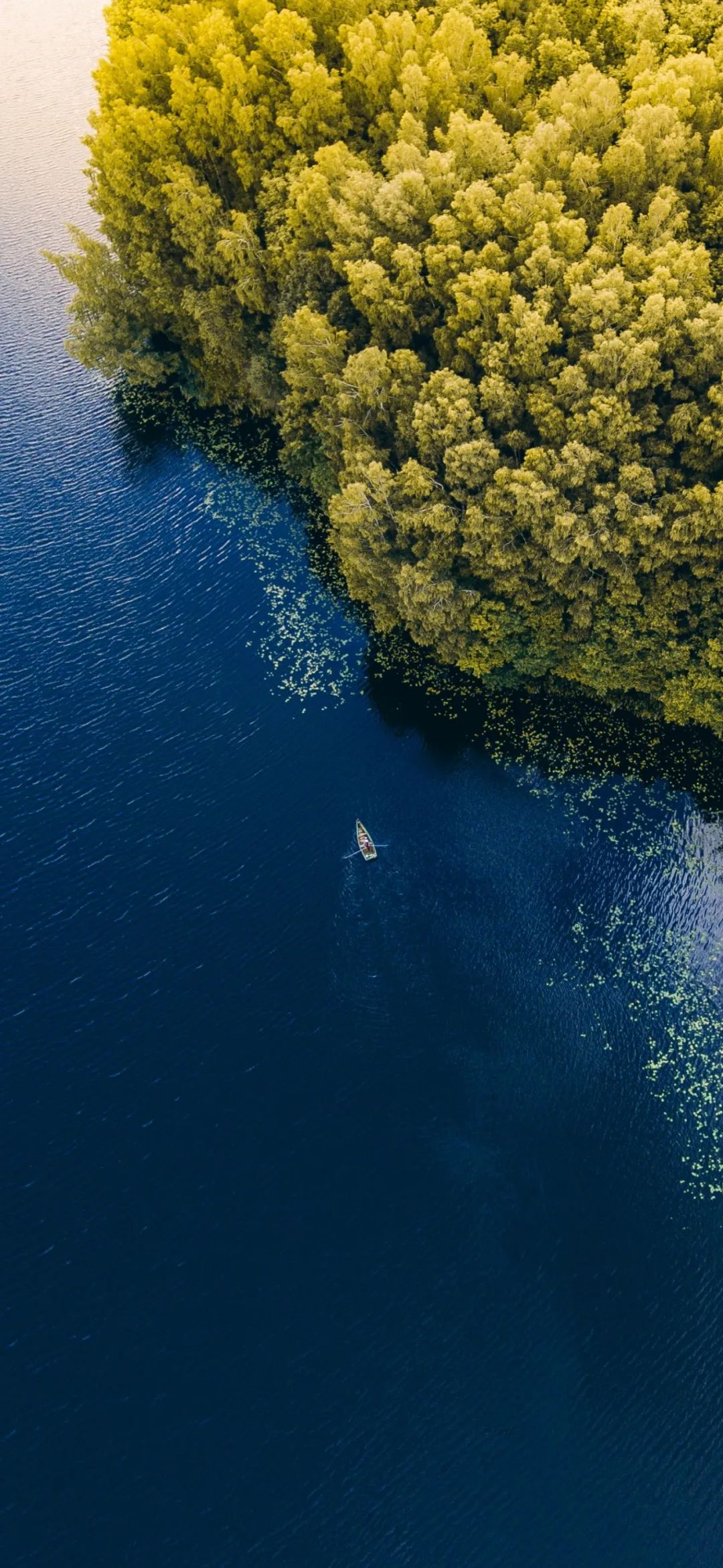 2023海上的丛林风景壁纸