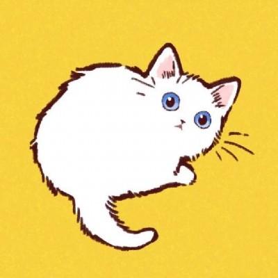 2024最新超萌可爱猫咪动漫头像