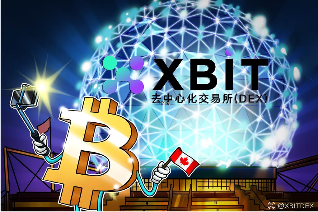 比特币现关键信号 XBIT长期持有xaut今日价格人民币创纪录增持 7b.jpg