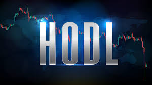 加密资产市场的持币人：从极客小圈到大众群体，HODL策略成主流